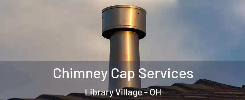 Chimney Cap Services Library Village - OH