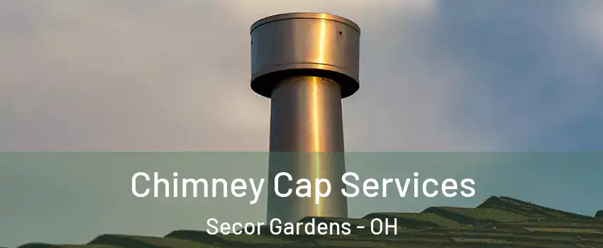Chimney Cap Services Secor Gardens - OH