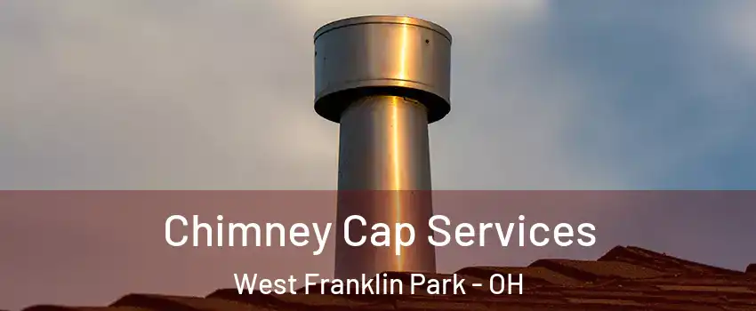 Chimney Cap Services West Franklin Park - OH