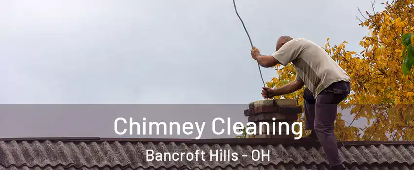 Chimney Cleaning Bancroft Hills - OH