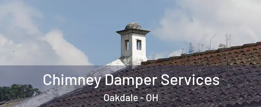 Chimney Damper Services Oakdale - OH