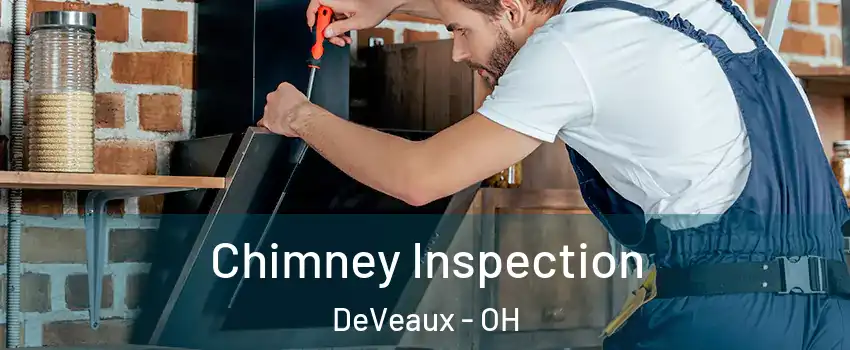 Chimney Inspection DeVeaux - OH