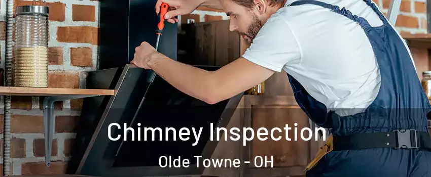Chimney Inspection Olde Towne - OH