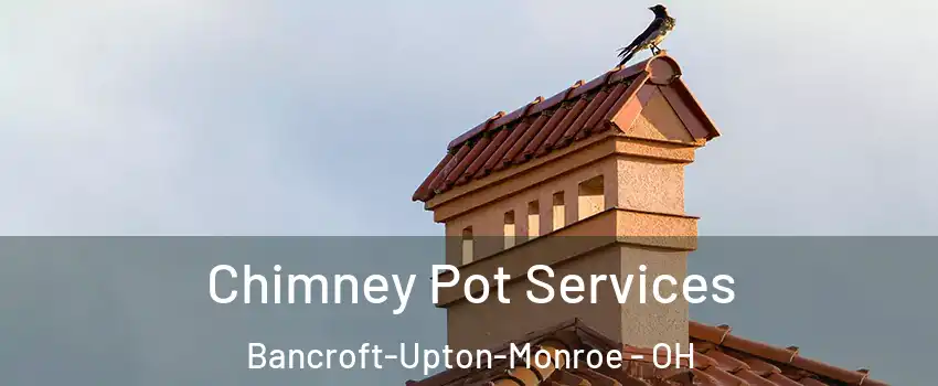 Chimney Pot Services Bancroft-Upton-Monroe - OH