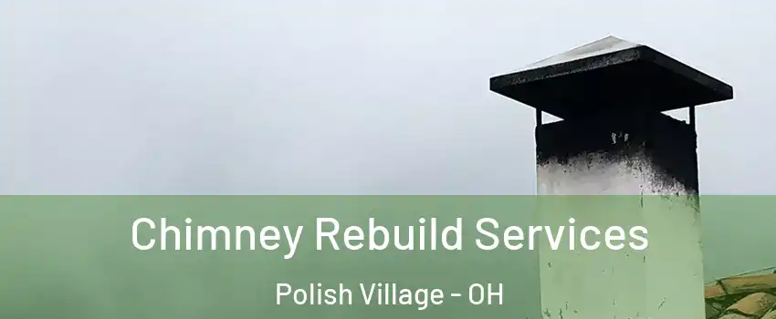 Chimney Rebuild Services Polish Village - OH