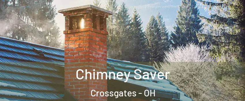 Chimney Saver Crossgates - OH