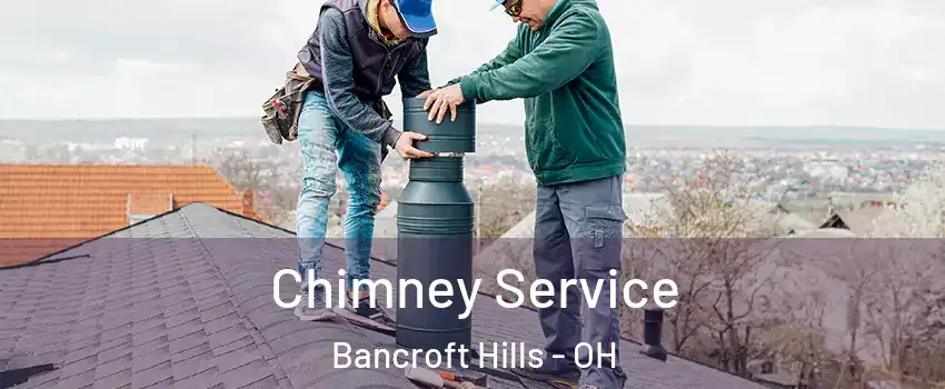 Chimney Service Bancroft Hills - OH