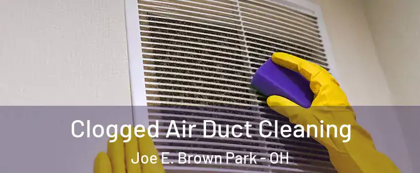 Clogged Air Duct Cleaning Joe E. Brown Park - OH