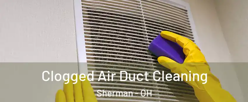 Clogged Air Duct Cleaning Sherman - OH