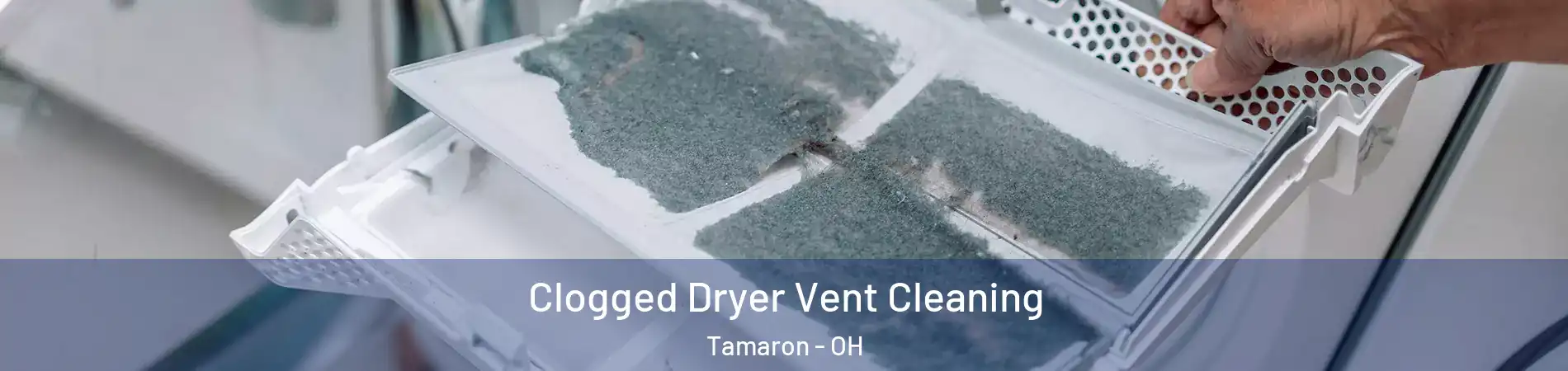 Clogged Dryer Vent Cleaning Tamaron - OH