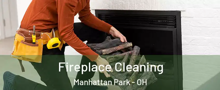 Fireplace Cleaning Manhattan Park - OH