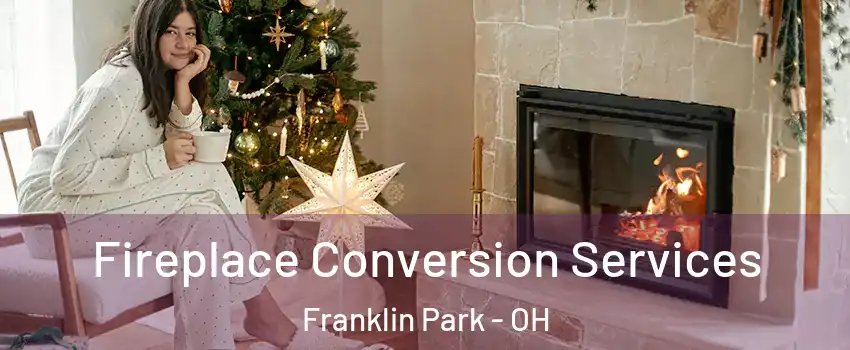 Fireplace Conversion Services Franklin Park - OH