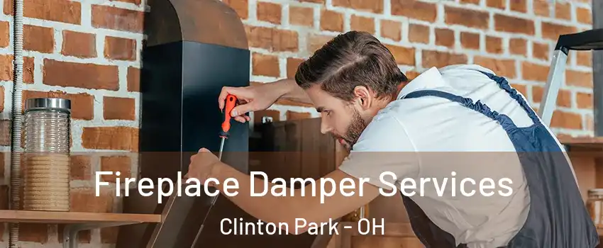 Fireplace Damper Services Clinton Park - OH