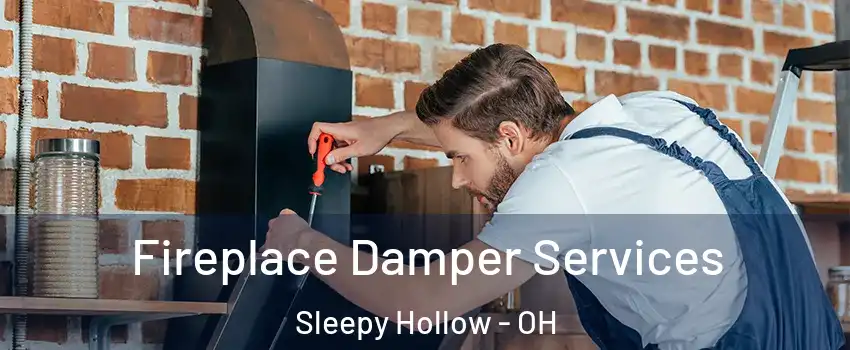 Fireplace Damper Services Sleepy Hollow - OH