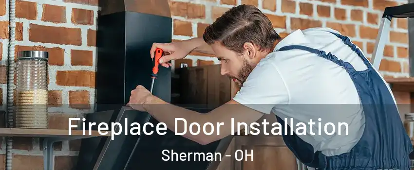 Fireplace Door Installation Sherman - OH