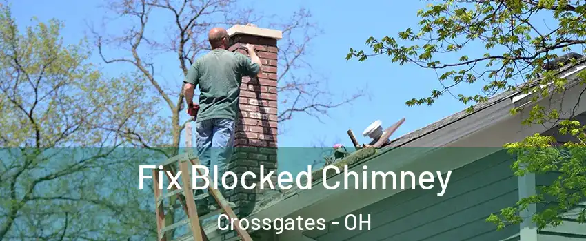 Fix Blocked Chimney Crossgates - OH