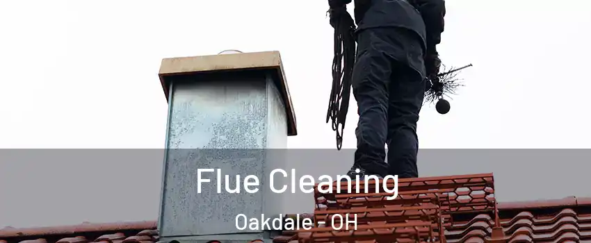 Flue Cleaning Oakdale - OH