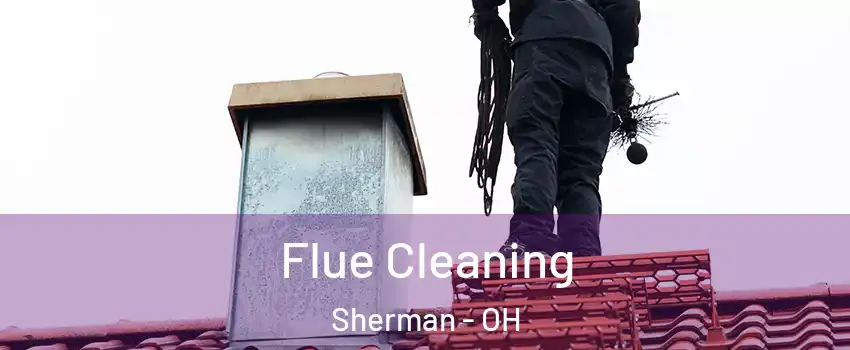Flue Cleaning Sherman - OH