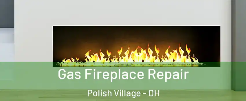 Gas Fireplace Repair Polish Village - OH