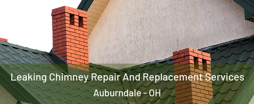 Leaking Chimney Repair And Replacement Services Auburndale - OH