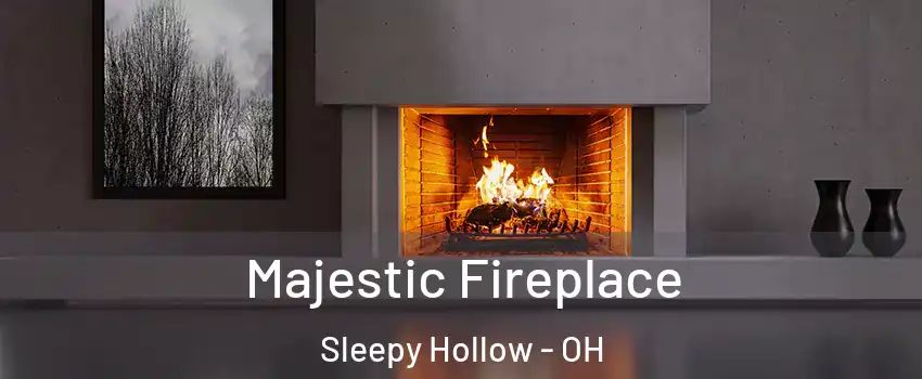 Majestic Fireplace Sleepy Hollow - OH
