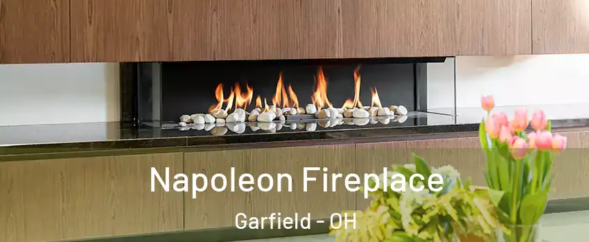 Napoleon Fireplace Garfield - OH