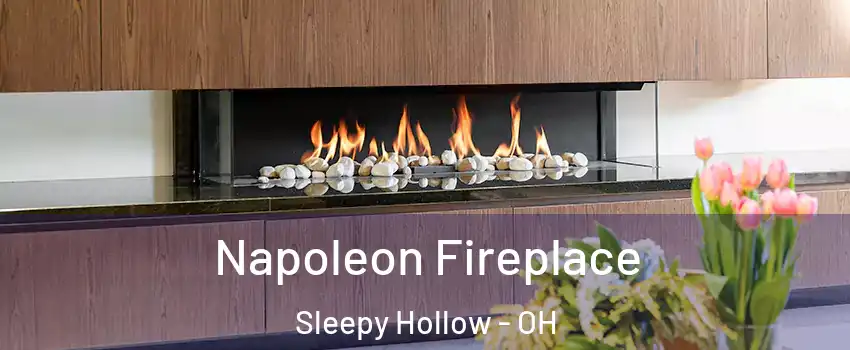 Napoleon Fireplace Sleepy Hollow - OH