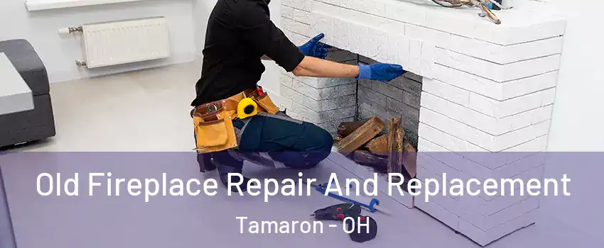 Old Fireplace Repair And Replacement Tamaron - OH