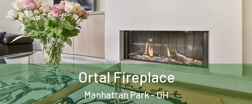 Ortal Fireplace Manhattan Park - OH