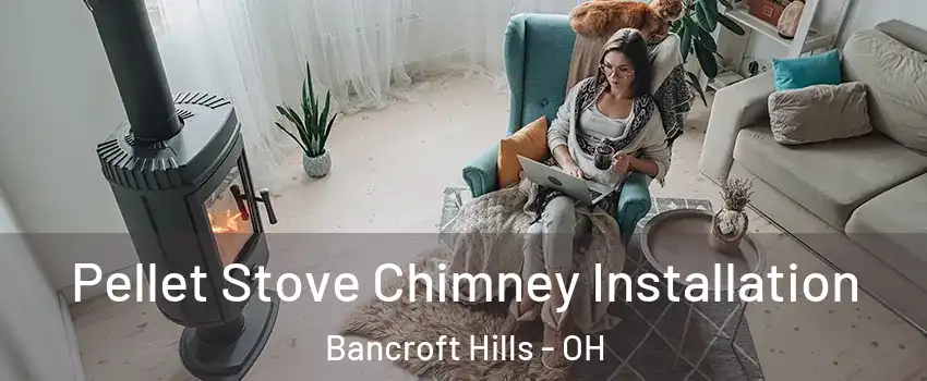 Pellet Stove Chimney Installation Bancroft Hills - OH