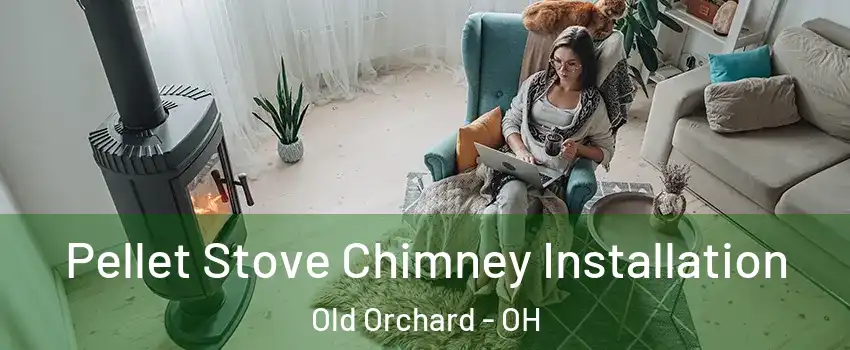 Pellet Stove Chimney Installation Old Orchard - OH